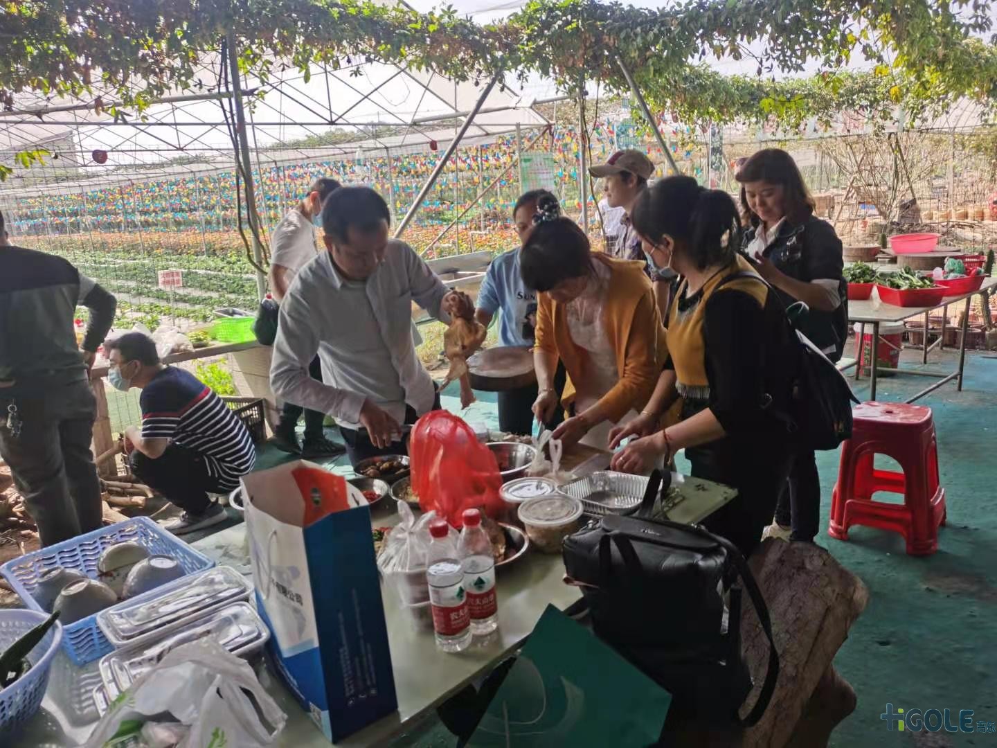 前海高樂(lè)公司