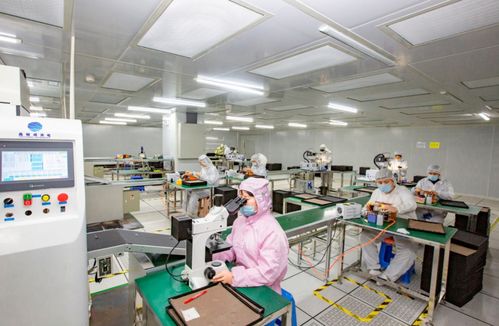 奮進在春光里 電子信息產業滿園春色，信息技術咨詢服務賦能向海圖強