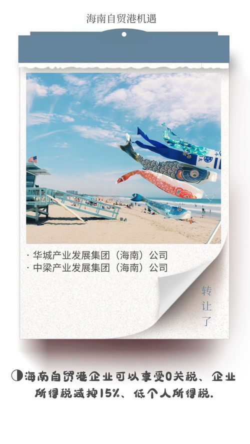 海南自貿(mào)港文旅集團(tuán)與德國(guó)企業(yè)對(duì)比 稅收優(yōu)勢(shì)凸顯，文化藝術(shù)交流新機(jī)遇